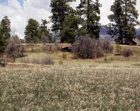 667697 Clint Cir, Pagosa Springs, CO 81147