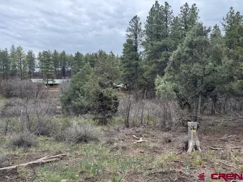 512 564 Jack Rabbit Rd, Pagosa Springs, CO 81147