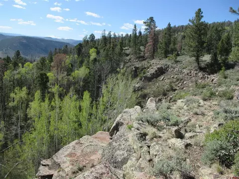 L51/u2 Mosquito Way, Powderhorn, CO 81243