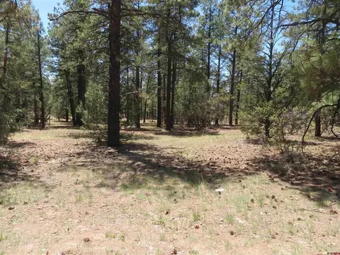 491 Crooked Rd, Pagosa Springs, CO 81147
