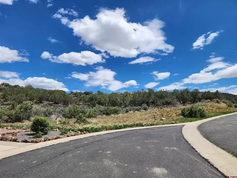605 SE 615 Se Pine St, Cedaredge, CO 81413 photo 18
