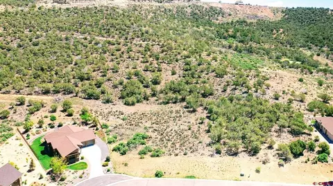 605 SE 615 Se Pine St, Cedaredge, CO 81413 photo 7