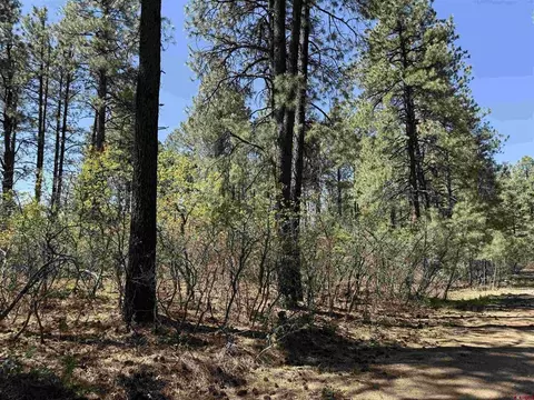156 Lake View Cir, Bayfield, CO 81122