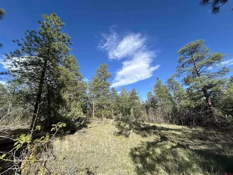 1333 Doc Adams Rd, Pagosa Springs, CO 81147