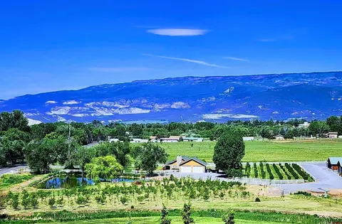 1036 E Main St, Cedaredge, CO 81413