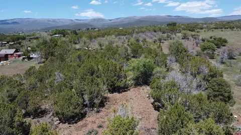 tbd Surface Creek Rd, Cedaredge, CO 81413