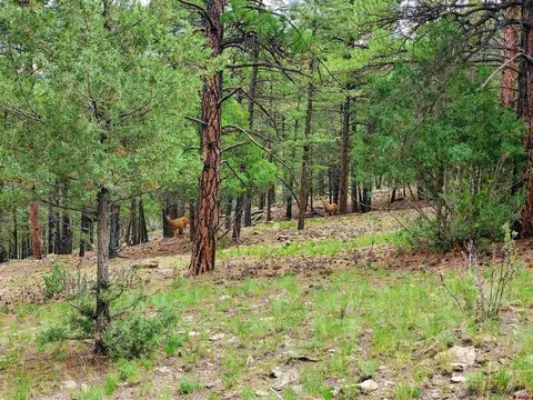 0253 Aspen Cir, South Fork, CO 81154