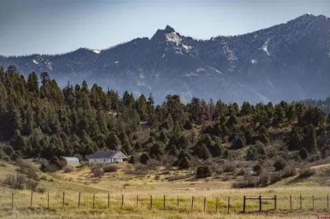 1878 1780 Roush Dr, Pagosa Springs, CO 81147