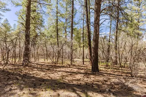 758 Evergreen Dr, Pagosa Springs, CO 81147