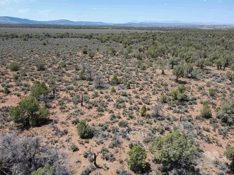 tbd Highway 141 Hwy, Redvale, CO 81431 photo 13