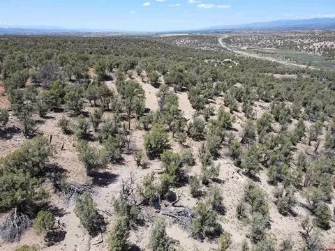 tbd Highway 141 Hwy, Redvale, CO 81431 photo 9
