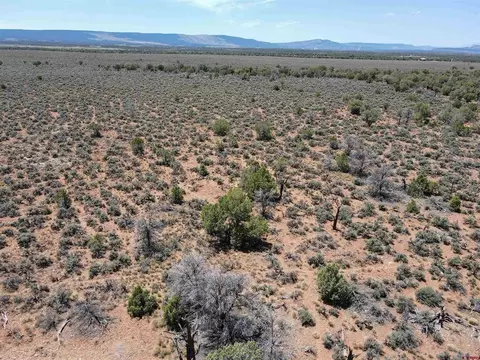 tbd Highway 141 Hwy, Redvale, CO 81431 photo 12