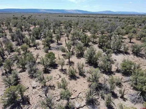 tbd Highway 141 Hwy, Redvale, CO 81431 photo 11