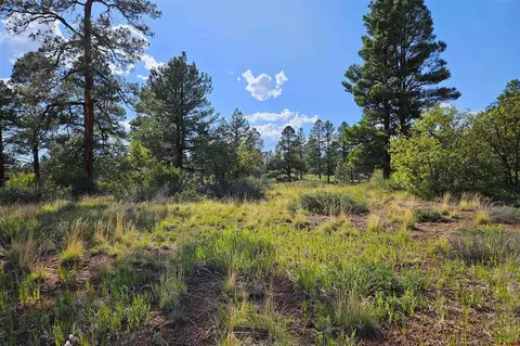 1305 Trails Blvd, Pagosa Springs, CO 81147