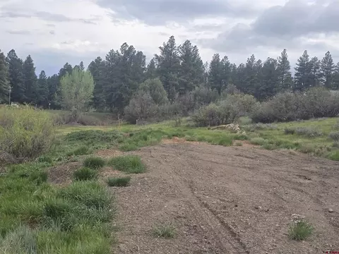 634 Cactus Dr, Pagosa Springs, CO 81147