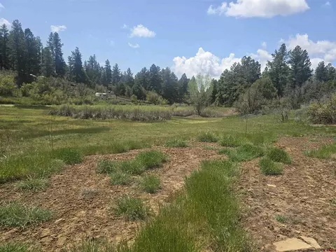 634 Cactus Dr, Pagosa Springs, CO 81147