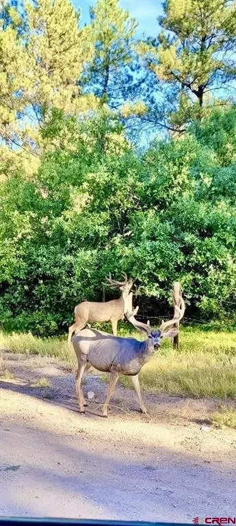 000 Sr 512 Hwy #MUNDY RANCH AND MOAIN, Chama, NM 87575