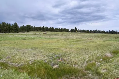 40 Port Ave, Pagosa Springs, CO 81147
