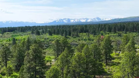 1 Dave Wood Road, Montrose, CO 81403