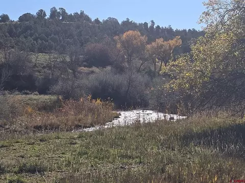 View/Area - 201 Cowboy Trl, Durango, CO 81303 photo 2 of 4