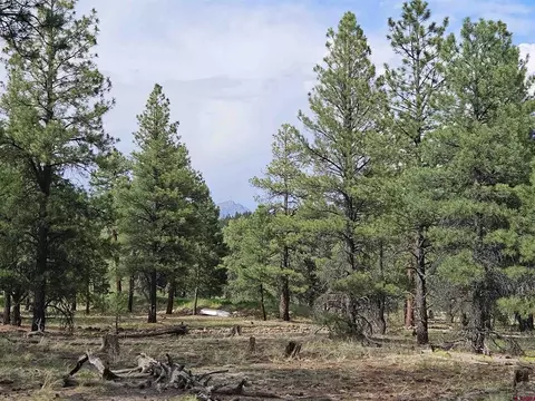 155 Monterosa Ct, Pagosa Springs, CO 81147