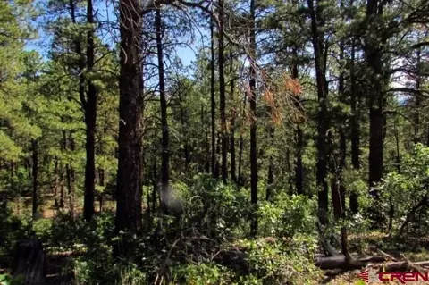 115 S Squaw Canyon Pl, Pagosa Springs, CO 81147