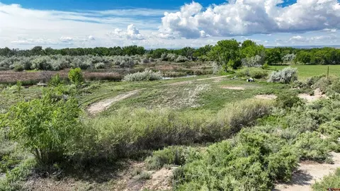 tbd 1500 Ct, Delta, CO 81416 photo 13