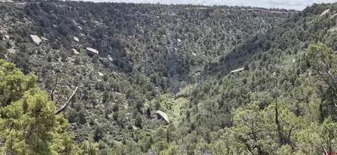 28580 Road 175, Pleasant View, CO 81331