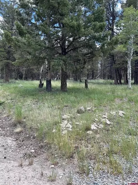 522 Monarch Rd, Powderhorn, CO 81243