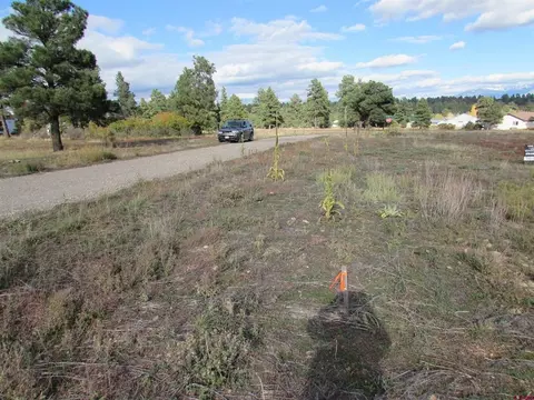 36 Convention Pl, Pagosa Springs, CO 81147
