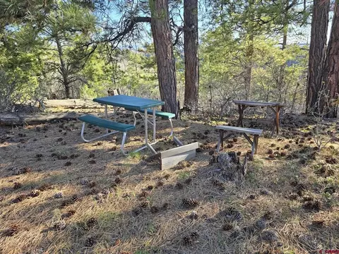 tbd Peninsula Dr, Placerville, CO 81430 photo 14