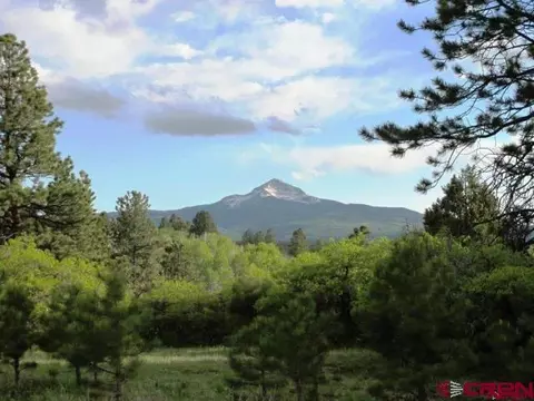 tbd Peninsula Dr, Placerville, CO 81430