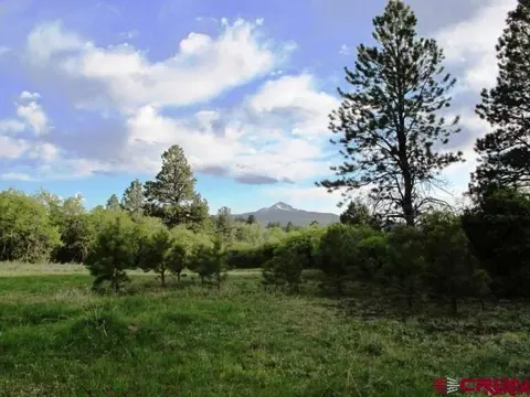 tbd Peninsula Dr, Placerville, CO 81430 photo 3