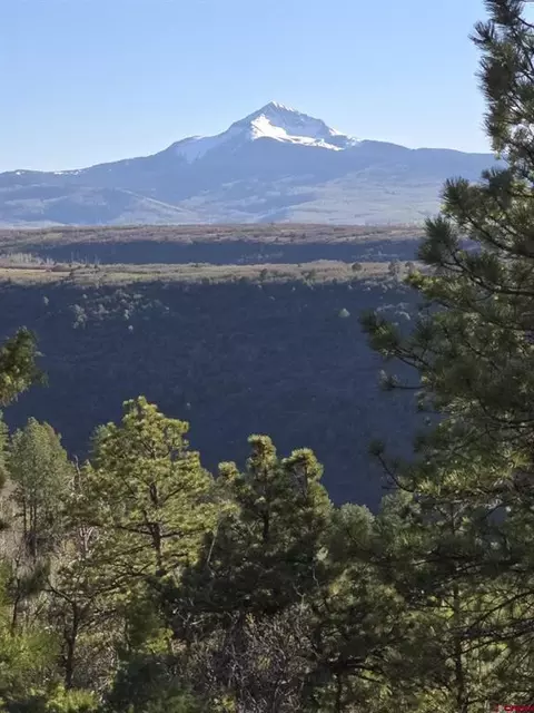 tbd Peninsula Dr, Placerville, CO 81430 photo 15