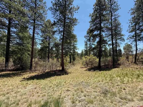 tbd Ventana Pass, Durango, CO 81301 photo 4