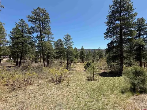 tbd Ventana Pass, Durango, CO 81301 photo 3