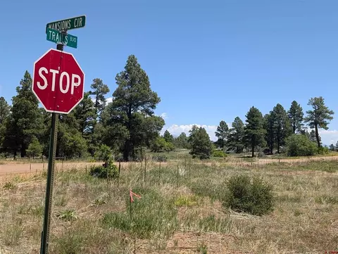 16 Mansions Cir, Pagosa Springs, CO 81147