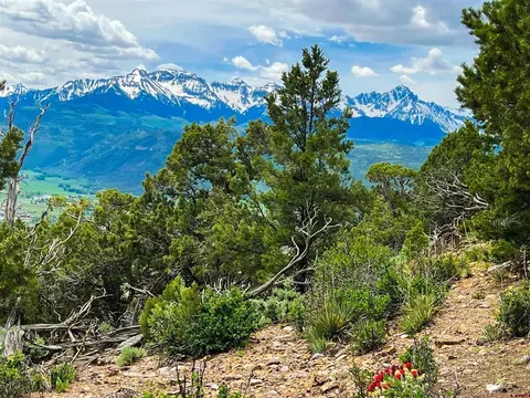 818 Pine Dr, Ridgway, CO 81432