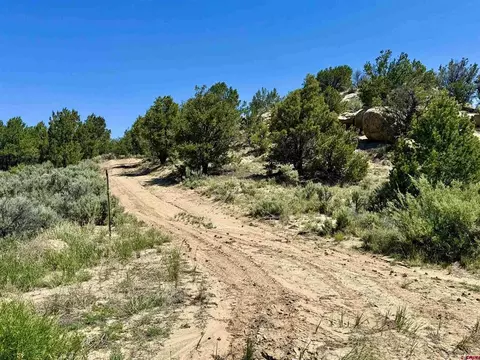 163 Cr 402 Rd, Lindrith, NM 87029