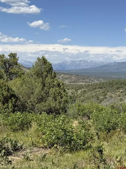 865 Top Ridge Pl, Pagosa Springs, CO 81147