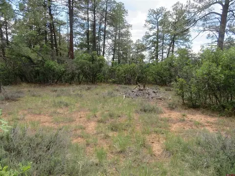 710 Doc Adams Rd, Pagosa Springs, CO 81147