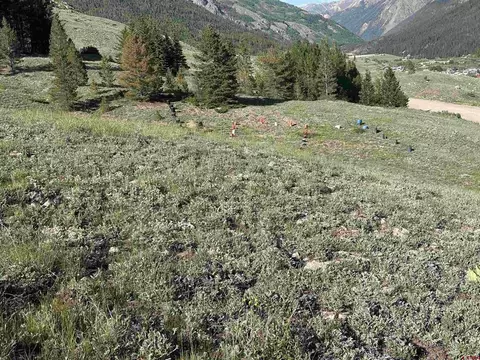 9 Th Gilman Ave, Silverton, CO 81433 photo 8