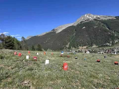 9 Th Gilman Ave, Silverton, CO 81433 photo 7