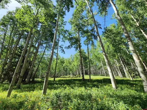 lot S 1-3 6th St, Jasper, CO 81144