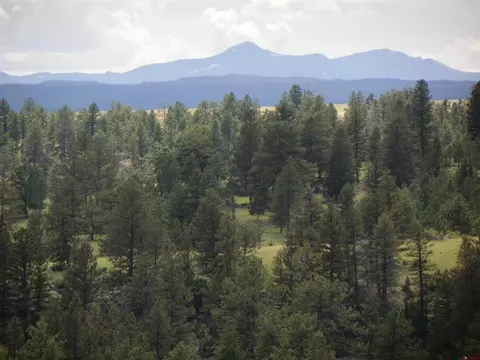 tbd County Rd 38-ff, Saguache, CO 81149