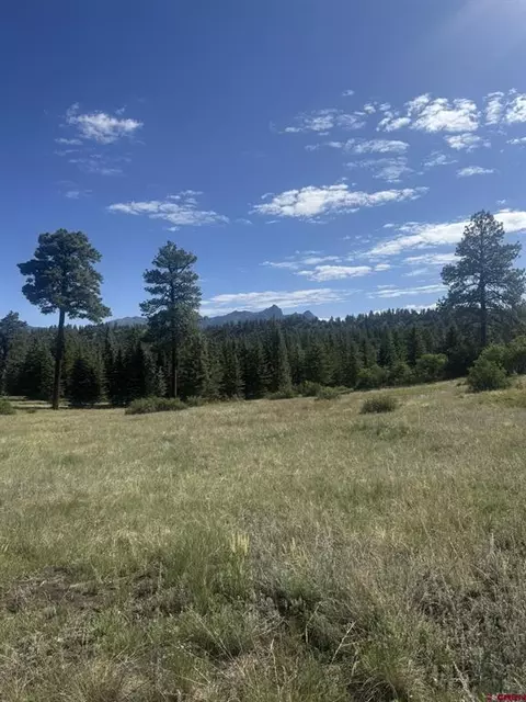 1231 Henrys Lake Dr, Pagosa Springs, CO 81147
