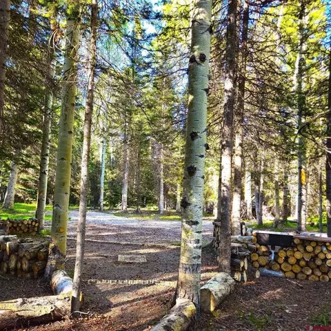505 Wildflower Dr, Cimarron, CO 81220