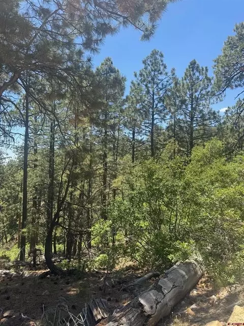 282 Blue Ridge Cir, Bayfield, CO 81122