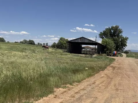 Tract 5 Road W.5, Lewis, CO 81327