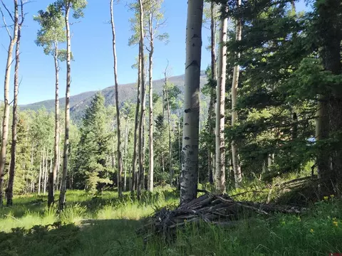 lot S 1-3 Block 84, Jasper, CO 81144